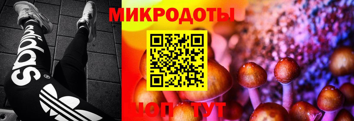 Кимры  Галлюциногенные грибы Cubensis  Вход с VPN 